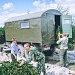 Осветление лесных культур