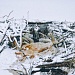 В ГОСТИ К БОБРУ
