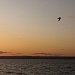 "Мещера" во Владивостоке