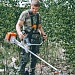 Осветление лесных культур
