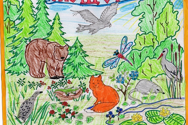 Итоги Занимательного задания №1 