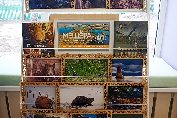 О ЖИВОТНЫХ НАЦИОНАЛЬНОГО ПАРКА «МЕЩЕРА» ПОВЕДАЛА ОДНОИМЁННАЯ ФОТОВЫСТАВКА