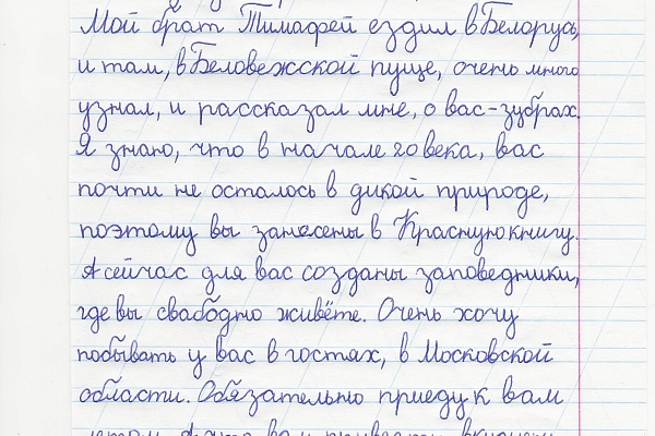 «Письма животным» - итоги