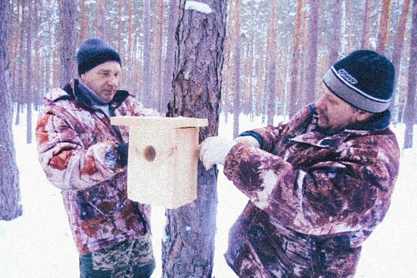  У пернатых решился квартирный вопрос.