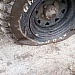 БРАКОНЬЕРЫ ОБЪЯВИЛИ ВОЙНУ ГОСУДАРСТВЕННЫМ ИНСПЕКТОРАМ НАЦИОНАЛЬНОГО ПАРКА