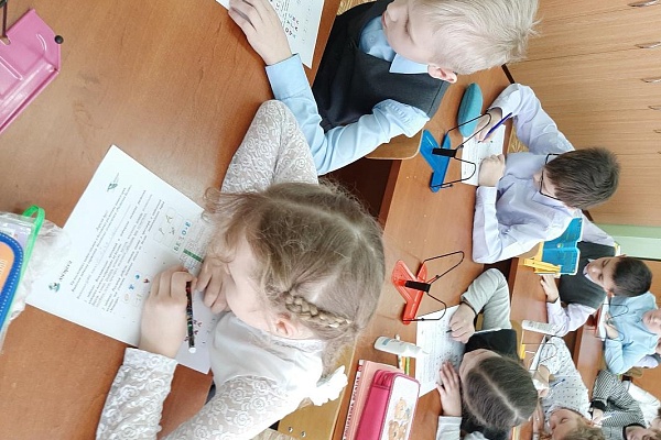 Младшие школьники узнали о растениях болот