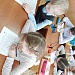 Младшие школьники узнали о растениях болот