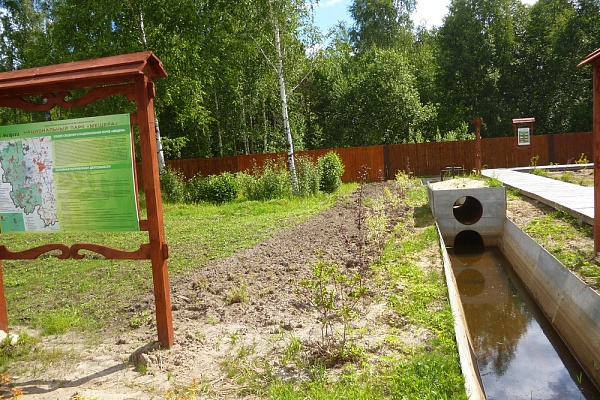 ВИЗИТ ПРЕДСТАВИТЕЛЕЙ  WETLANDS INTERNATIONAL В                      НАЦИОНАЛЬНЫЙ ПАРК «МЕЩЕРА» 