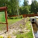 ВИЗИТ ПРЕДСТАВИТЕЛЕЙ  WETLANDS INTERNATIONAL В                      НАЦИОНАЛЬНЫЙ ПАРК «МЕЩЕРА» 