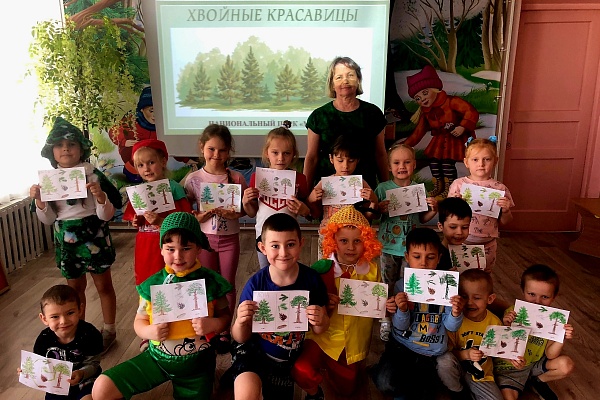 Хвойные красавицы