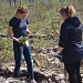 ВЕСЕННЯЯ ПОСАДКА – 2018