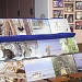 НАЦИОНАЛЬНЫЙ ПАРК «МЕЩЕРА» СТАЛ ЧАСТЬЮ «ЗАПОВЕДНОГО КОЛЬЦА» РОССИИ
