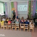 Хвойные красавицы