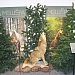 Край мещерский. Край заповедный