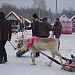 А у нас было весело!