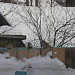 Зимняя подкормка — помощь пернатым друзьям