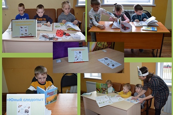 «В гостях у природы...»
