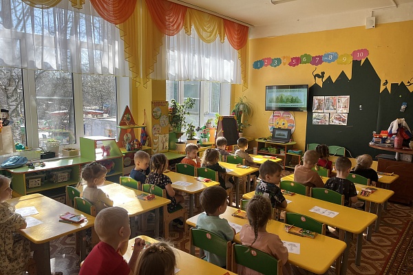 Хвойные красавицы