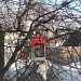 БОЛЕЕ 4,5 ТЫСЯЧ ЧЕЛОВЕК ПОМОГЛИ ПТИЦАМ ЭТОЙ ЗИМОЙ