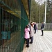 День  открытых дверей в национальном парке «Мещера»