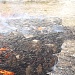 «МЕЩЕРА» ПОД НАДЁЖНОЙ ЗАЩИТОЙ
