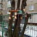 Зимняя подкормка — помощь пернатым друзьям