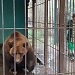 ОСЕННЕЕ НАСТРОЕНИЕ НА 5+