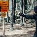 СТУДЕНТЫ МОСКОВСКИХ ВУЗОВ В НАЦИОНАЛЬНОМ ПАРКЕ «МЕЩЕРА»