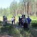 ЛЕТО ВЗЯЛО В РУКИ КРАСКИ…