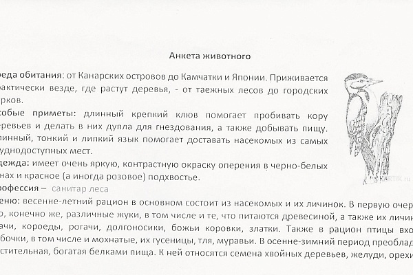 «Письма животным» - итоги