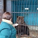 ОСЕННЕЕ НАСТРОЕНИЕ НА 5+
