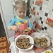 Итоги межрегиональной акции «Помоги птицам»