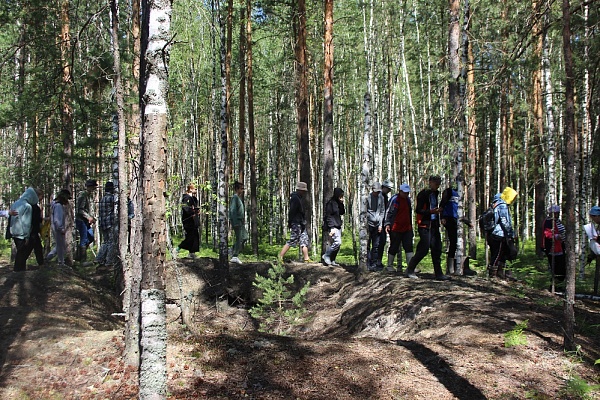 ЛЕТО ВЗЯЛО В РУКИ КРАСКИ…
