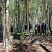 ЛЕТО ВЗЯЛО В РУКИ КРАСКИ…