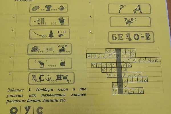 Младшие школьники узнали о растениях болот