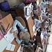 Контрольное списывание по теме: «Озеро Святое»