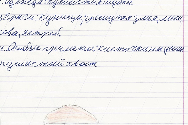 «Письма животным» - итоги