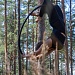 ДУХ РЫЦАРСТВА