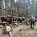 Акция «Покорми зубра»