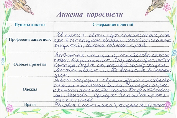 «Письма животным» - итоги