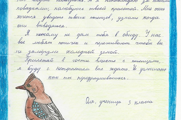 «Письма животным» - итоги