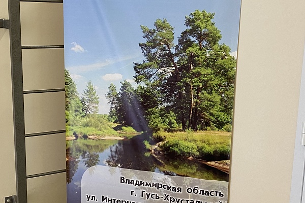 Выставка  « Мещера заповедная»