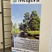 Выставка  « Мещера заповедная»