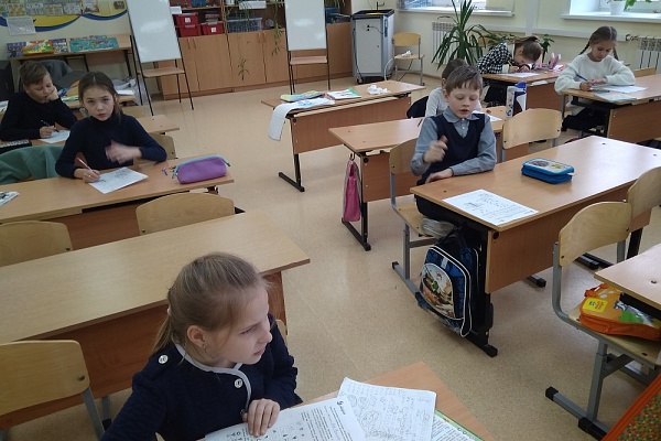 Младшие школьники узнали о растениях болот