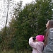 Осенний учет птиц