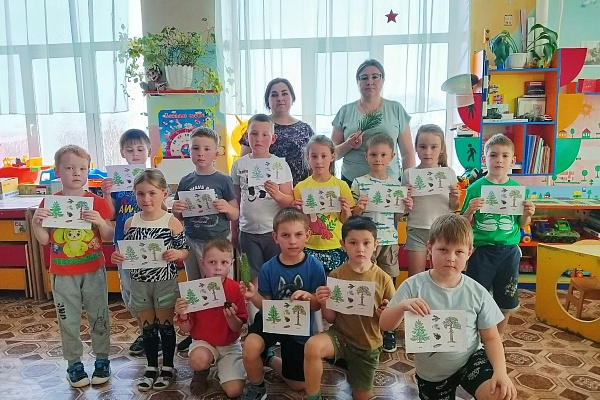Хвойные красавицы