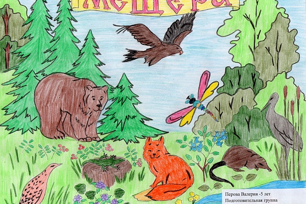 Итоги Занимательного задания №1 