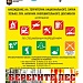 В ЛЕС НА ШАШЛЫКИ? ТОЛЬКО В УСТАНОВЛЕННЫХ МЕСТАХ И С СОБЛЮДЕНИЕМ ВСЕХ ПРАВИЛ!