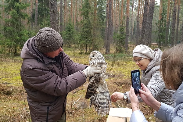 Сова на передержке
