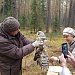 Сова на передержке